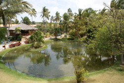 Natura Park Beach Eco Resort & SPA 